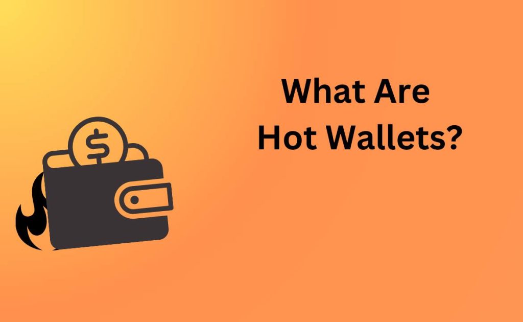 What Are Hot Wallets?
